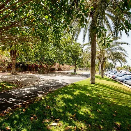 Flor Azul, Americas プラヤ・デ・ラス・アメリカス